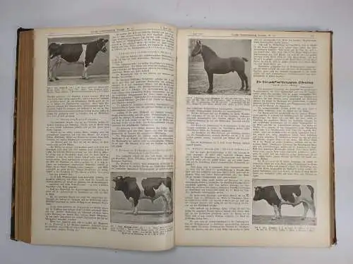 Buch/Zeitschrift: Deutsche landwirtschaftliche Tierzucht 14. Jg. 1910, Hartmann