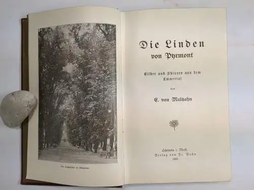 Buch: Die Linden von Pyrmont, Elisabeth von Maltzahn, 1905, Fr. Bahn, Emmertal