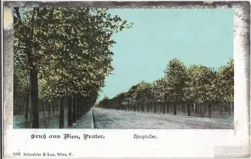 AK Gruß aus Wien Prater. Hauptallee. ca. 1906, Postkarte. Serien Nr, ca. 1906