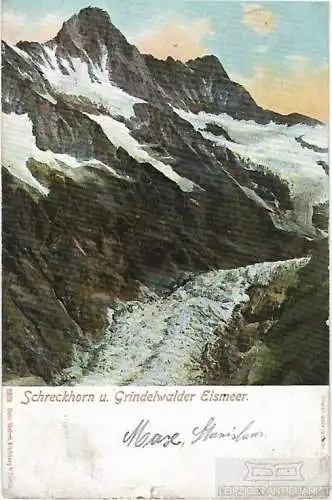 AK Schreckhorn u. Grindelwalder Eismeer. ca. 1903, Postkarte. Serien Nr