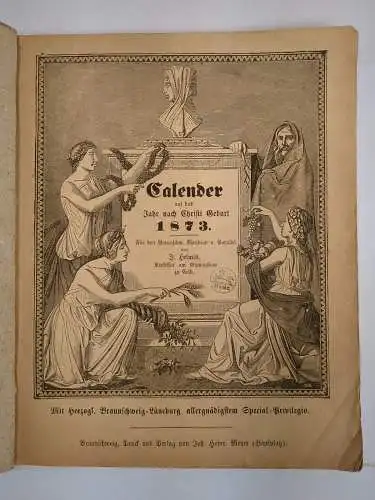 Buch: Calender auf das Jahr Christi Geburt 1873, J. Helmes, 1972, J. H. Meyer