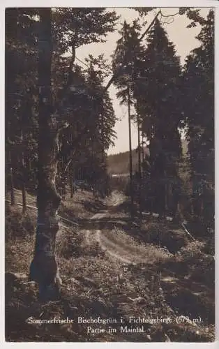 AK Sommerfrische Bischofsgrün i. Fichtelgebirge. Partie im Maintal, ca. 1930