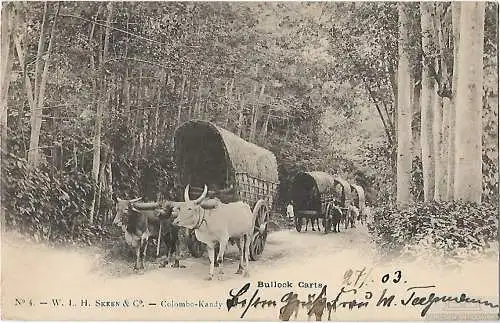 AK Bullock Carts. ca. 1927, Postkarte. Serien Nr, ca. 1927, gebraucht, gut