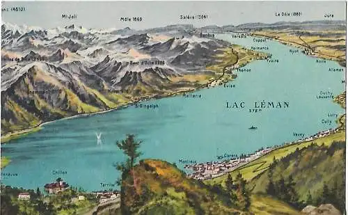 AK Panorama du Lac Leman. ca. 1913, Postkarte. Serien Nr, ca. 1913