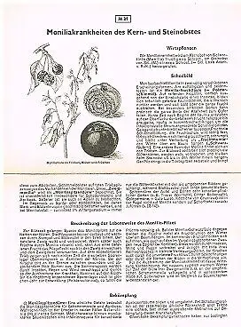 Buch: Kartei für Pflanzenschutz und Schädlingsbekämpfung, Mühle, Erich. 1953