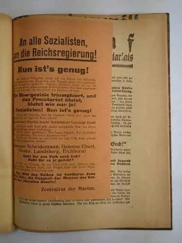 Buch: Konvolut von Anschlagzetteln zu den Wahlen im Januar 1919