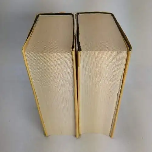 Buch: Der Jüngste Tag, Die Bücherei einer Epoche, 2 Bände, 1970, Scheffler Vlg.