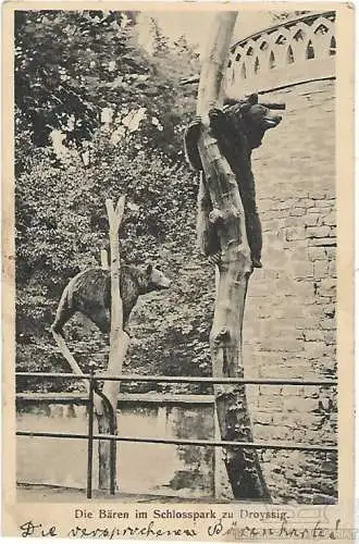 AK Die Bären im Schlosspark zu Droyssig. ca. 1923, Postkarte. Serien Nr