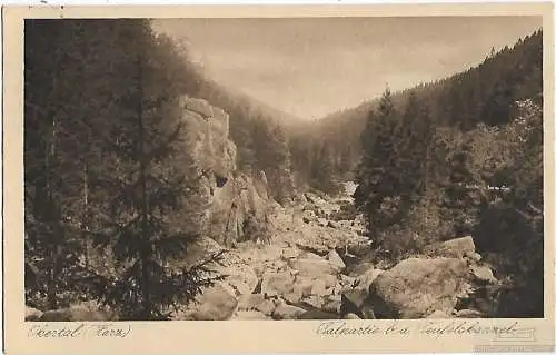 AK Okertal. Talpartie b. d. Teufelskanzel. ca. 1926, Postkarte. Serien Nr