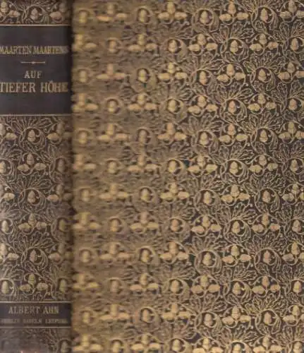 Buch: Auf tiefer Höhe, Maartens, Maarten. 1906, Albert Ahn Verlag