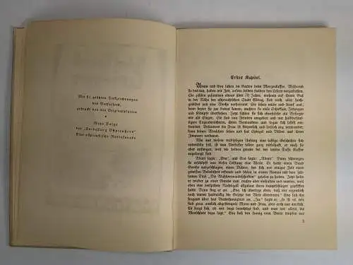 Buch: Curi-neru, Robert Budzinski, 1927, Carl Reißner, gebraucht, gut