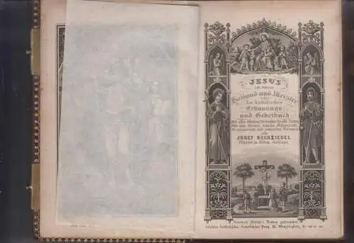 Buch: Jesus ist unser Heiland und Meister, Rechziegel, Josef, F. Styblo's Verlag