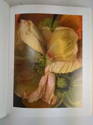 Buch: FloraMagica, Hermann Försterling, 2006, Atelier Försterling, signiert