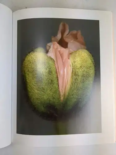 Buch: FloraMagica, Hermann Försterling, 2006, Atelier Försterling, signiert