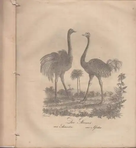 Buch: Bilder-Sammlung, enthält Natur- und Menschenwerke.., Gabriel, M. , 1837-38