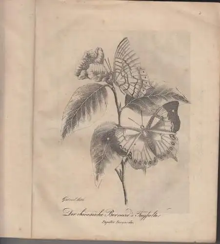 Buch: Bilder-Sammlung, enthält Natur- und Menschenwerke.., Gabriel, M. , 1837-38