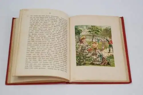 Buch: Was der Weihnachtsmann erzählt, Fürst, Elise. 1894, Mit 6 Bildern