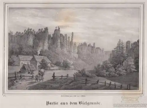 Partie aus dem Bielgrunde. Lithographie. Grafik mit Passepartout, Arldt. 1840