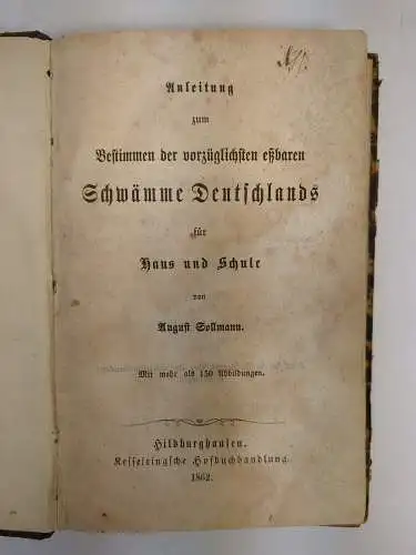 Buch: Anleitung zum Bestimmen der vorzüglichsten eßbaren Schwämme... Sollmann