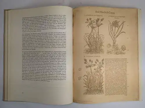 Buch: Die phytotherapeutische Welt, Heinrich Schröder, 1962, Nattermann