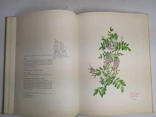 Buch: Die phytotherapeutische Welt, Heinrich Schröder, 1962, Nattermann