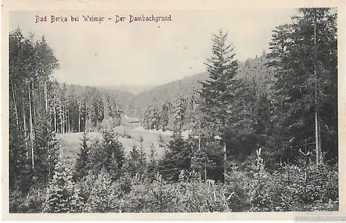 AK Bad Berka b. Weimar der Dambachgrund. ca. 1914, Postkarte. Ca. 1914