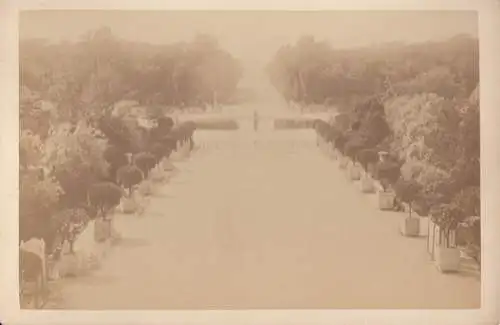 Fotografie H. Guerard, Paris - Jardin des Tuileries et... Fotografie