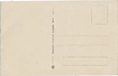 AK Altenburg S.-A. Großer Teich mit Insel. ca. 1912, Postkarte. Serien Nr