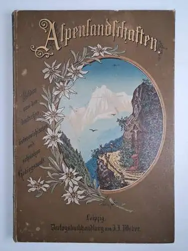 Buch: Alpenlandschaften. Ca. 1900, Verlag J. J. Weber, gebraucht, gut