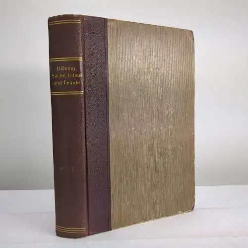 Buch: Sache, Leben und Feinde, Eugen Dühring, 1903, Verlag Theodor Thomas