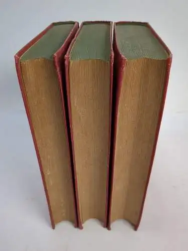 Buch: Der Idiot 1-3, F. M. Dostojewski, Insel, Bibliothek der Romane, 3 Bände