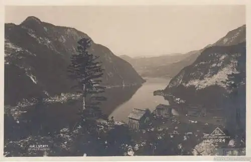 AK Hallstatt, Hirschaualm, Postkarte. Fotokarte, gebraucht, gut