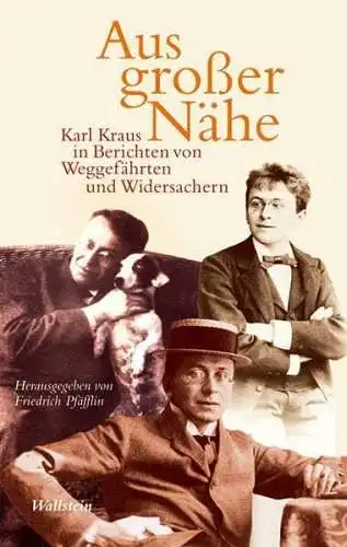 Buch: Aus großer Nähe, Pfäfflin, Friedrich, 2008, Wallstein, gebraucht, gut