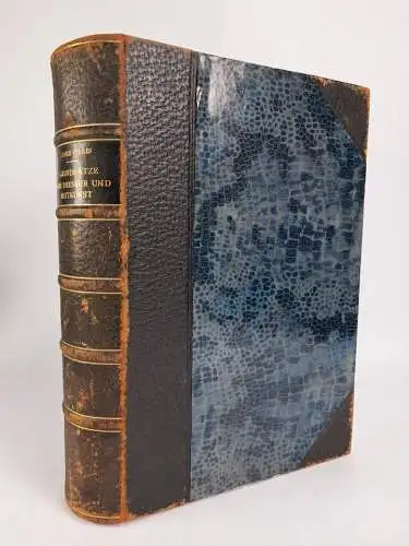 Buch: Grundsätze der Dressur und Reitkunst, F. James, 1905, Schickhardt & Ebner