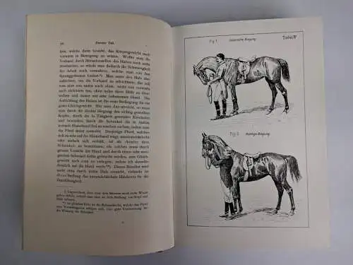 Buch: Grundsätze der Dressur und Reitkunst, F. James, 1905, Schickhardt & Ebner