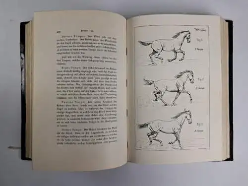 Buch: Grundsätze der Dressur und Reitkunst, F. James, 1905, Schickhardt & Ebner