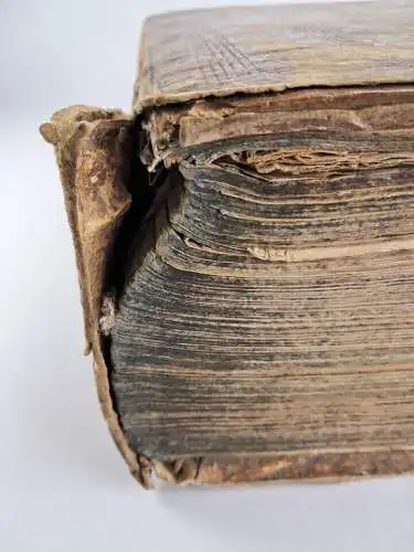 Bibel: Biblia, Das ist die gantze Heilige Schrift, Martin Luther, Vierling