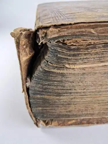 Bibel: Biblia, Das ist die gantze Heilige Schrift, Martin Luther, Vierling