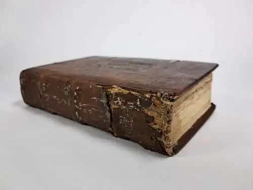 Buch: Der Geistlich May Unnd Geistliche Hörpst., Fridolin, Stephan, 1581, Mayer