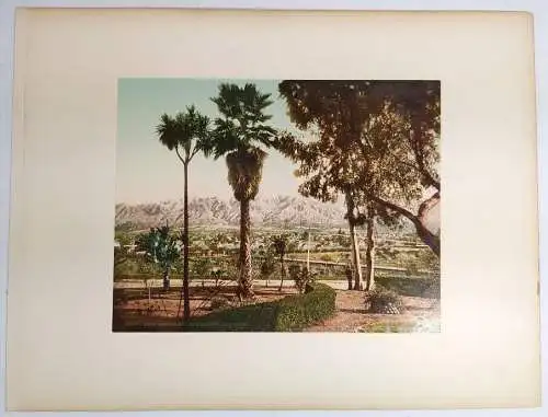 Foto: Snow and Palms at Pasadena, California / Orange Grove at Riverside. 1898