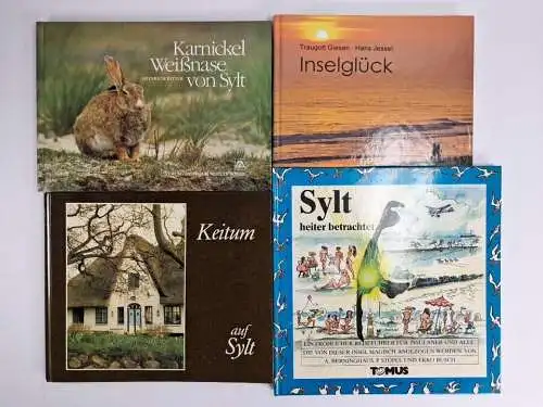 29 Bücher Insel Sylt: Sagen, Kunst, Geschichte. Sammlung, Bundle, Konvolut