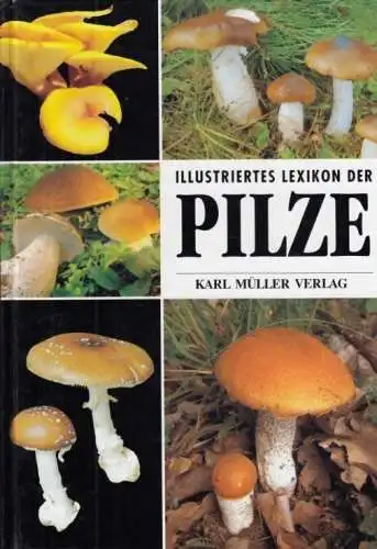 Buch: Illustriertes Lexikon der Pilze, Hagara, Ladislav. 1995, gebraucht, gut