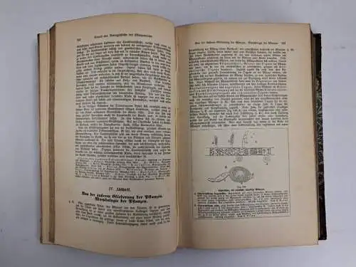 Buch: Synopsis der Pflanzenkunde 1-3, Johannes Leunis, 3 Bände, Hahn, 1883-86