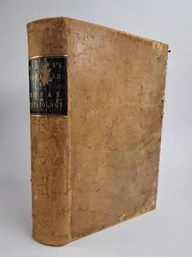 Buch: A treatise on human physiology, John C. Dalton, 1871, Henry C. Lea