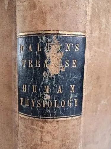 Buch: A treatise on human physiology, John C. Dalton, 1871, Henry C. Lea