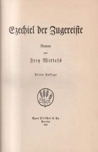 Buch: Ezechiel der Zugereiste, Roman, Fritz Wittels, 1910, Egon Fleischel & Co.