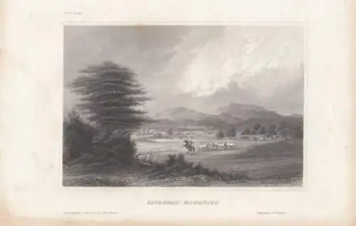 Savannah (Mosquito). aus Meyers Universum, Stahlstich. Kunstgrafik, 1850