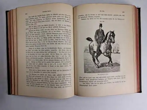 Buch: Das Buch vom Pferde, 2 Bände, C.G. Wrangel, 1890/1895, Schickhardt & Ebner