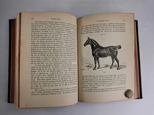 Buch: Das Buch vom Pferde, 2 Bände, C.G. Wrangel, 1890/1895, Schickhardt & Ebner