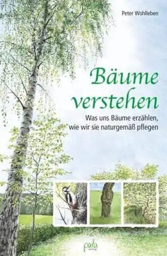 Buch: Bäume verstehen, Wohlleben, Peter, 2013, Pala-verlag, gebraucht, sehr gut